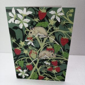 Wood Mice with Raspberries