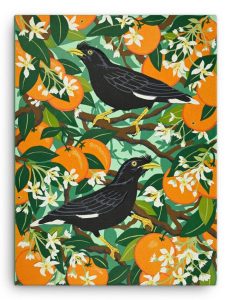Mynah Birds, Oranges and Blossom Canvas Print