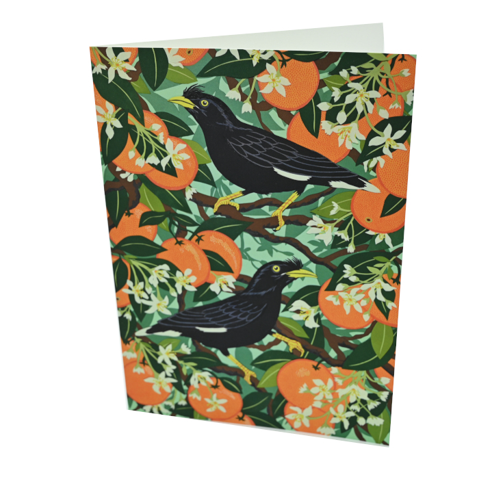 FSW Gallery | Mynah Birds with Orange Blossom A5 Card