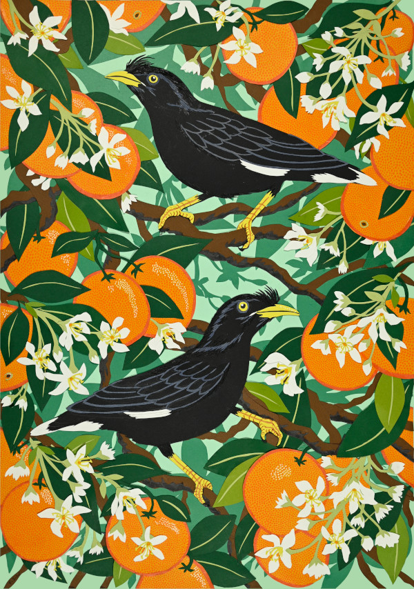 Mynah Birds with Orange Blossom
