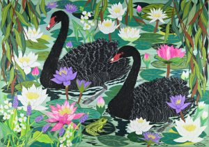 Art print of Black Swans with Water Lilies