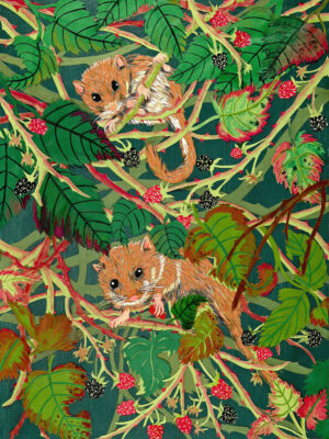 Dormice with Raspberries art print