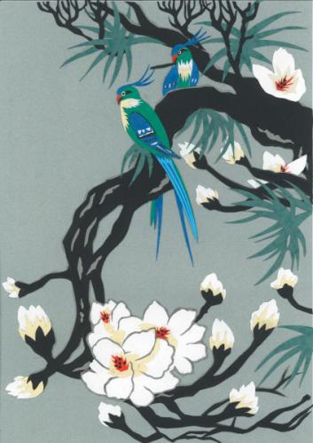 Oriental Birds:Oriental Rainforest Birds