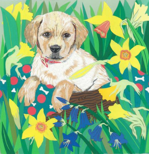 Domestic Animals:Puppy in Daffodils