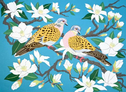 Birds:Turtledoves on Magnolia