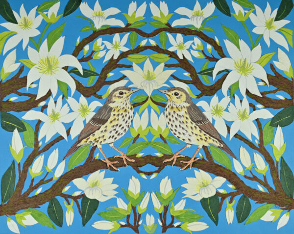 Song Thrush in Magnolia